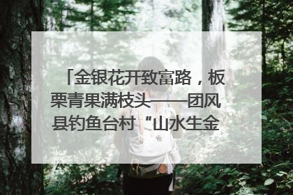 金银花开致富路，板栗青果满枝头——团风县钓鱼台村“山水生金”谱写共富新篇章