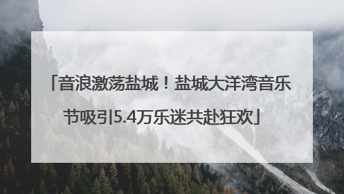 音浪激荡盐城！盐城大洋湾音乐节吸引5.4万乐迷共赴狂欢