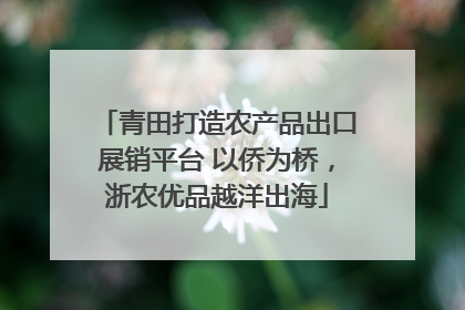 青田打造农产品出口展销平台 以侨为桥，浙农优品越洋出海