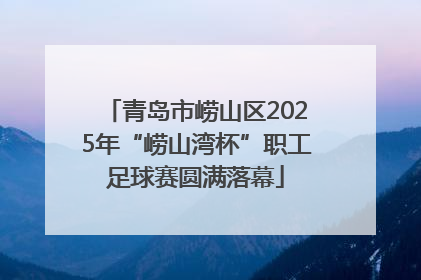 青岛市崂山区2025年“崂山湾杯”职工足球赛圆满落幕