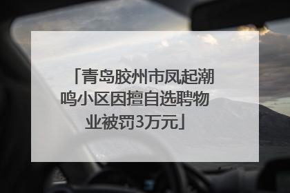 青岛胶州市凤起潮鸣小区因擅自选聘物业被罚3万元