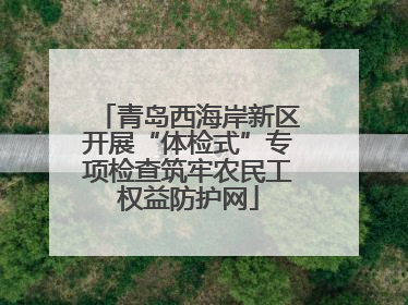 青岛西海岸新区开展“体检式”专项检查筑牢农民工权益防护网