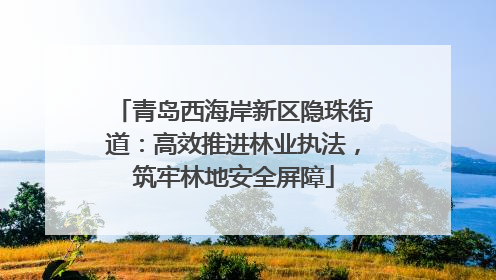青岛西海岸新区隐珠街道：高效推进林业执法，筑牢林地安全屏障