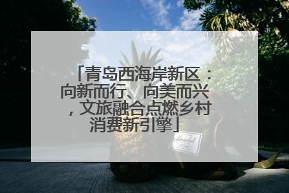青岛西海岸新区：向新而行、向美而兴，文旅融合点燃乡村消费新引擎