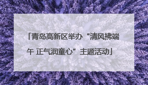 青岛高新区举办“清风拂端午 正气润童心”主题活动