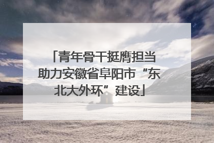 青年骨干挺膺担当 助力安徽省阜阳市“东北大外环”建设
