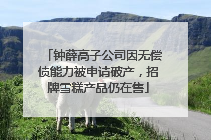 钟薛高子公司因无偿债能力被申请破产，招牌雪糕产品仍在售