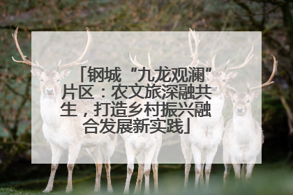 钢城“九龙观澜”片区：农文旅深融共生，打造乡村振兴融合发展新实践