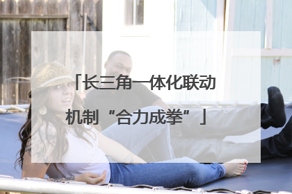 长三角一体化联动机制“合力成拳”