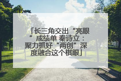长三角交出“亮眼”成绩单 秦诗立：聚力抓好“两创”深度融合这个棋眼