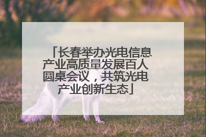 长春举办光电信息产业高质量发展百人圆桌会议，共筑光电产业创新生态