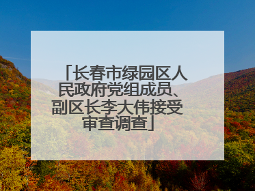 长春市绿园区人民政府党组成员、副区长李大伟接受审查调查