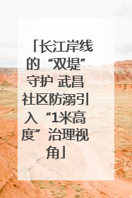 长江岸线的“双堤”守护 武昌社区防溺引入“1米高度”治理视角