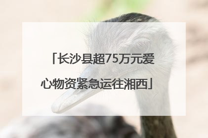 长沙县超75万元爱心物资紧急运往湘西