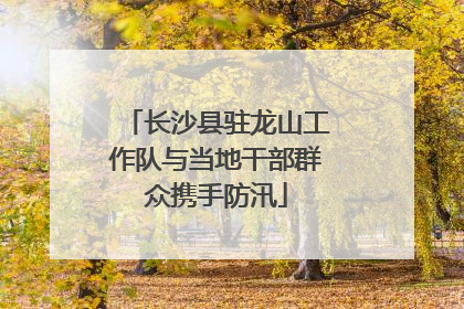 长沙县驻龙山工作队与当地干部群众携手防汛