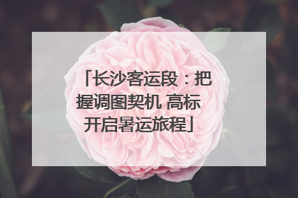 长沙客运段：把握调图契机 高标开启暑运旅程