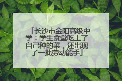 长沙市金阳高级中学：学生食堂吃上了自己种的菜，还出现了一批劳动能手