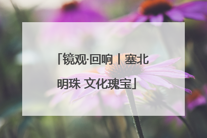 镜观·回响丨塞北明珠 文化瑰宝