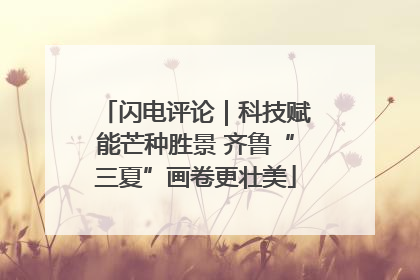 闪电评论｜科技赋能芒种胜景 齐鲁“三夏”画卷更壮美