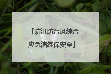 防汛防台风综合应急演练保安全