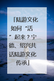 陆游文化如何“活 ”起来？宁德、绍兴共话陆游文化传承