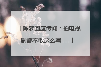 陈梦回应传闻：拍电视剧都不敢这么写……
