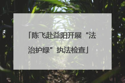 陈飞赴益阳开展“法治护绿”执法检查