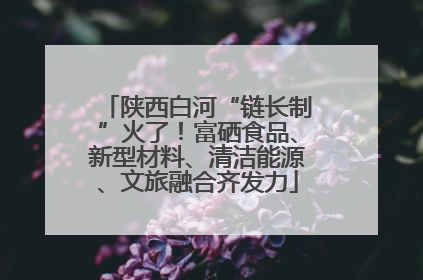 陕西白河“链长制”火了！富硒食品、新型材料、清洁能源、文旅融合齐发力