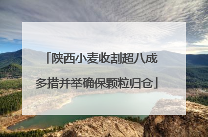 陕西小麦收割超八成 多措并举确保颗粒归仓