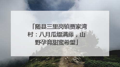 随县三里岗镇贾家湾村：八月瓜缀满藤，山野孕育甜蜜希望