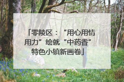 零陵区：“用心用情用力”绘就“中药香”特色小镇新画卷