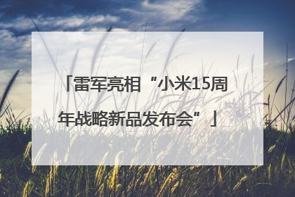 雷军亮相“小米15周年战略新品发布会”