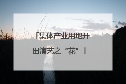 集体产业用地开出演艺之“花”