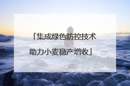 集成绿色防控技术助力小麦稳产增收