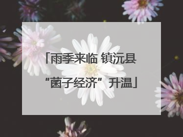 雨季来临 镇沅县“菌子经济”升温