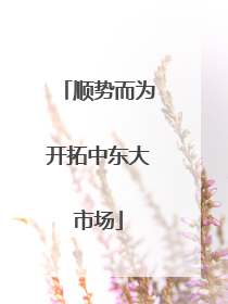 顺势而为开拓中东大市场