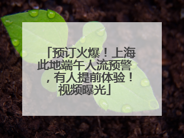 预订火爆！上海此地端午人流预警，有人提前体验！视频曝光