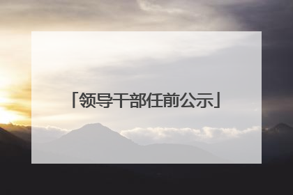 领导干部任前公示