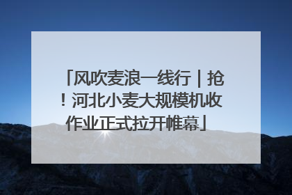 风吹麦浪一线行｜抢！河北小麦大规模机收作业正式拉开帷幕