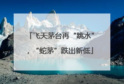 飞天茅台再“跳水”，“蛇茅”跌出新低