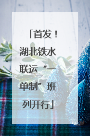 首发！湖北铁水联运“一单制”班列开行