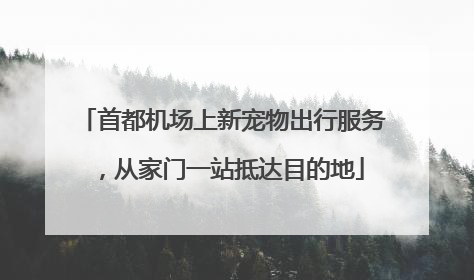 首都机场上新宠物出行服务，从家门一站抵达目的地