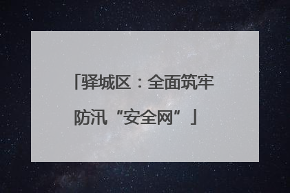 驿城区：全面筑牢防汛“安全网”