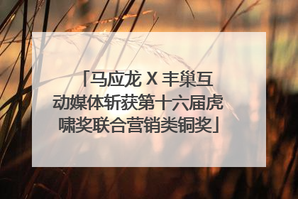 马应龙 X 丰巢互动媒体斩获第十六届虎啸奖联合营销类铜奖
