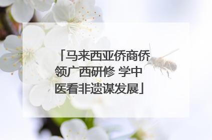 马来西亚侨商侨领广西研修 学中医看非遗谋发展