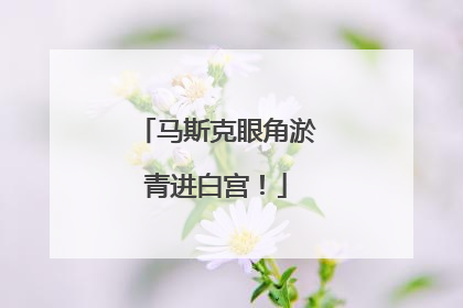 马斯克眼角淤青进白宫！