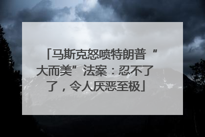 马斯克怒喷特朗普“大而美”法案：忍不了了，令人厌恶至极