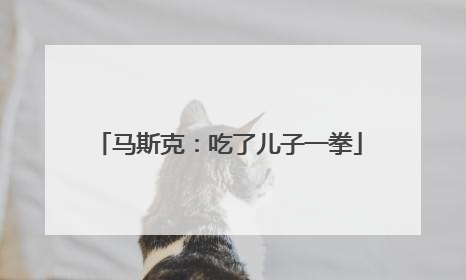 马斯克：吃了儿子一拳