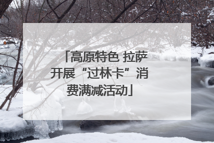 高原特色 拉萨开展“过林卡”消费满减活动