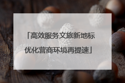 高效服务文旅新地标 优化营商环境再提速